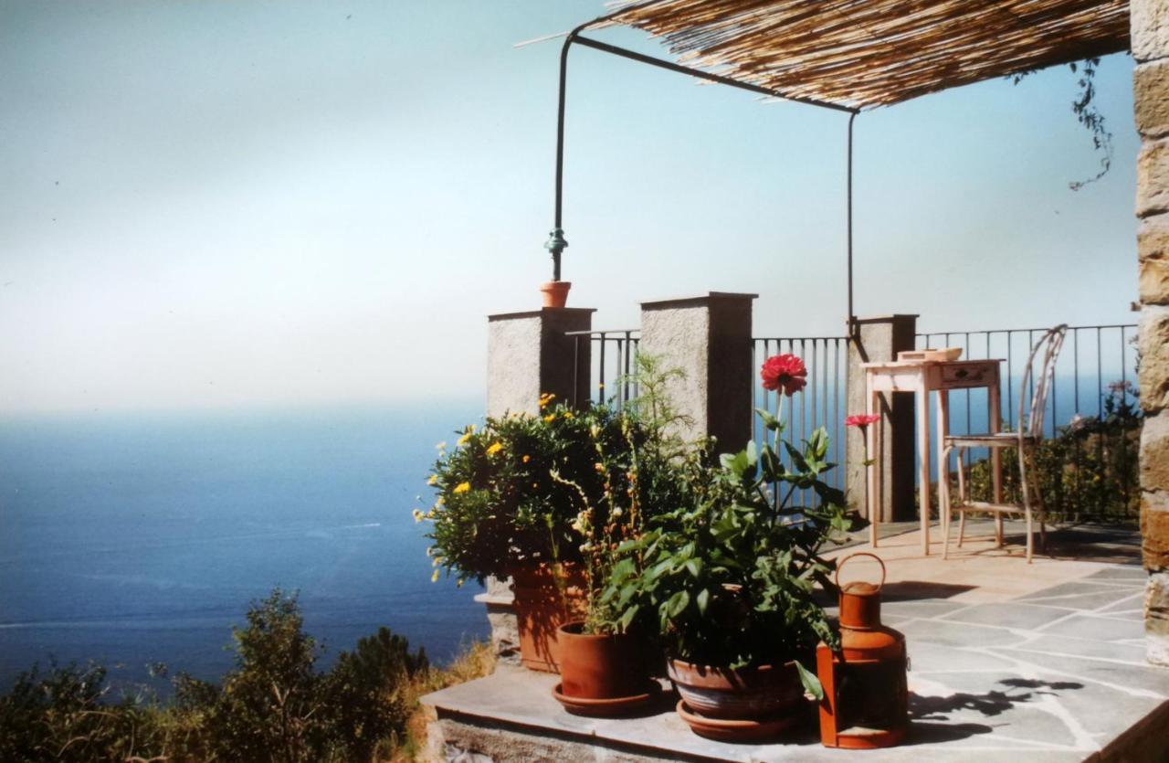 Cottage La Casa Del Pittore Reggimonti Extérieur photo