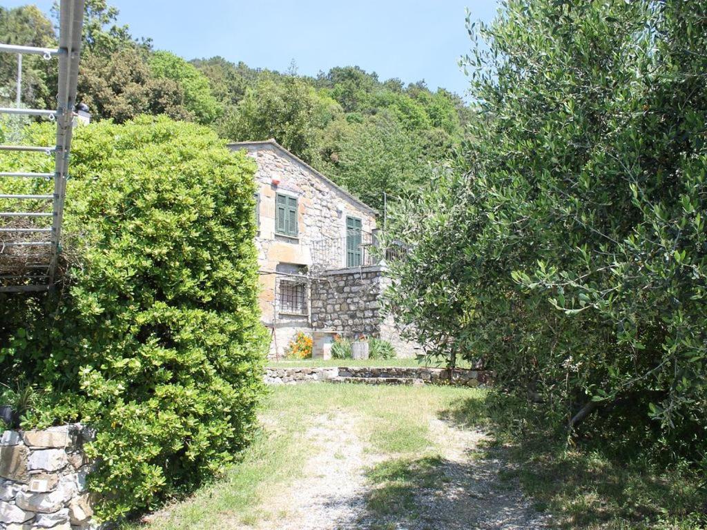 Cottage La Casa Del Pittore Reggimonti Extérieur photo