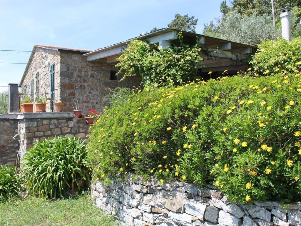 Cottage La Casa Del Pittore Reggimonti Extérieur photo